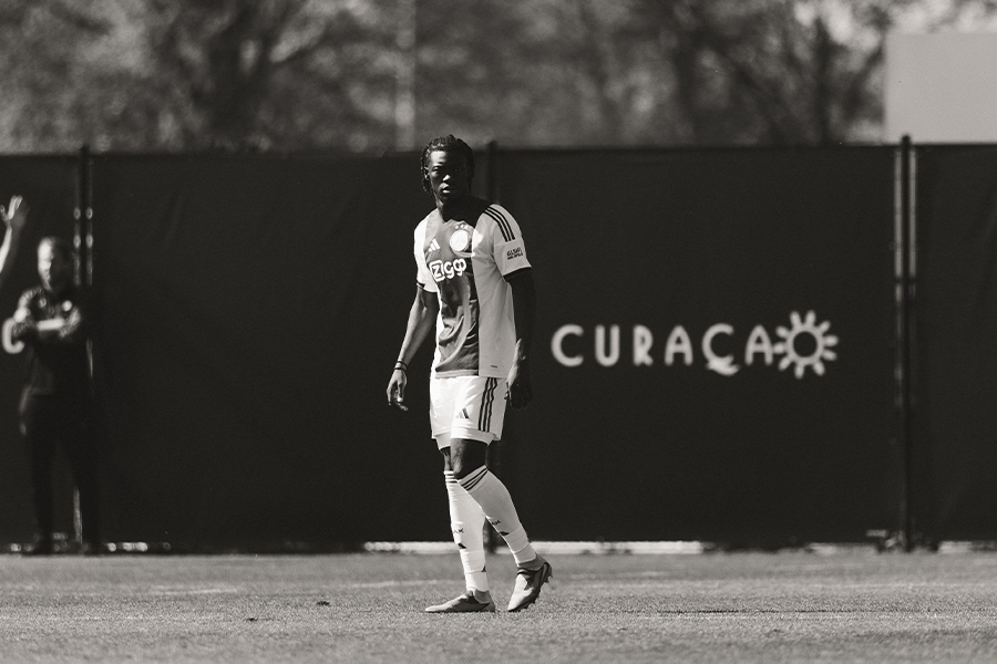 Vriendschappelijk 2 (2)